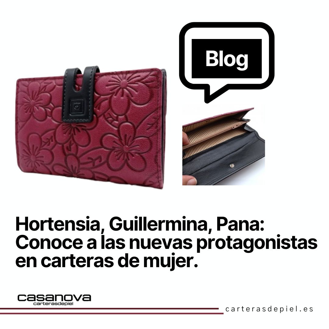 Hortensia, Guillermina, Pana: Conoce a las nuevas protagonistas en carteras de mujer